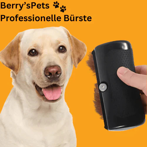 ๐ฅPet๐Professional brush