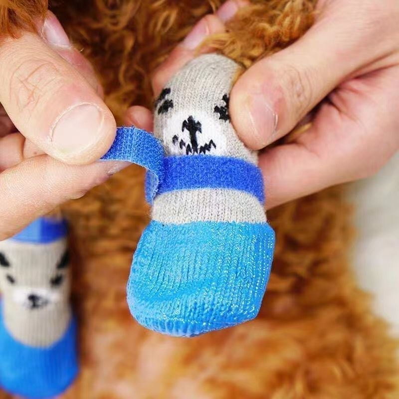 מבצע גדול 49% הנחה🐶נעליים אטומות למים לחיות מחמד