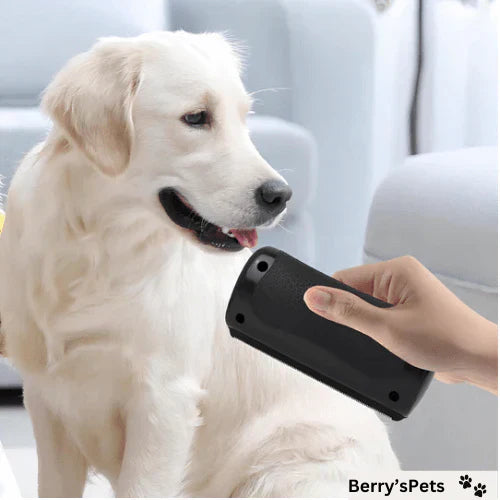 ๐ฅPet๐Professional brush