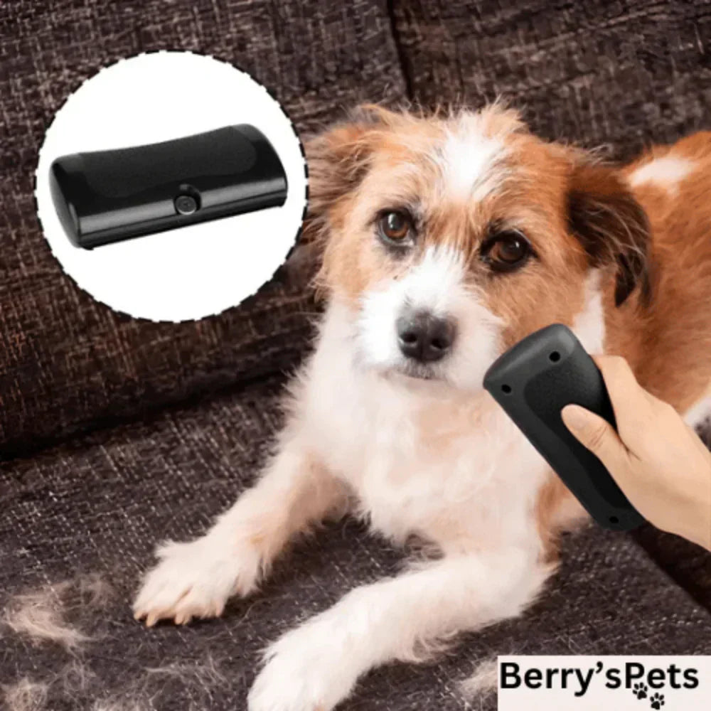 ๐ฅPet๐Professional brush