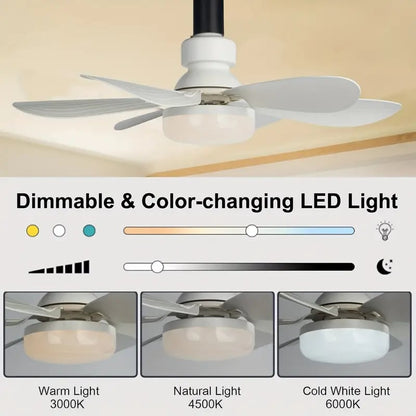 ⏳מבצע יום אחרון: 49% הנחה🔥 מאוורר תקרה עם תאורת LED SmartBreez™ 40W – 20.5 אינץ', שקט במיוחד עם שלט רחוק 🎯 | E27 + מתאם B22 חינם 🔌 | לחדר שינה 😴, מטבח 👩‍🍳 ומוסך 🛠️ – מוכן לשימוש בבריטניה!