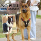 🐶 LED No-Pull Dog Harness Kit with Leash – Safer, More Comfortable Walks Day & Night