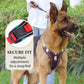 🐶 LED No-Pull Dog Harness Kit with Leash – Safer, More Comfortable Walks Day & Night