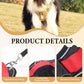 🐶 LED No-Pull Dog Harness Kit with Leash – Safer, More Comfortable Walks Day & Night