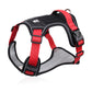 🐶 LED No-Pull Dog Harness Kit with Leash – Safer, More Comfortable Walks Day & Night
