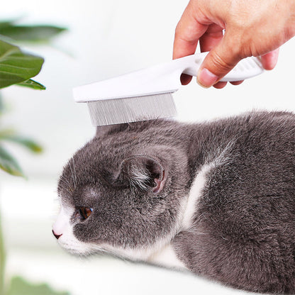 🐾 קנה 1 קבל 1 חינם! 🛁 מסרק טיפוח רב-תכליתי לחיות מחמד – הסרת כתמי דמעות ופרעושים עם מחטי נירוסטה עדינות ✨