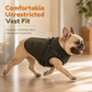 ⏳Limited-time 50% off💥Warm Winter Dog Coat with Reflective Strips and Harness for Small and Medium Dogs🐶❄️