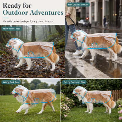 50% OFF 🐶 All-Weather Transparent Waterproof Dog Raincoat (All Sizes) ✨